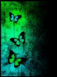 Butterfly_Darkness.jpg