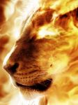 Lion_Fire.jpg